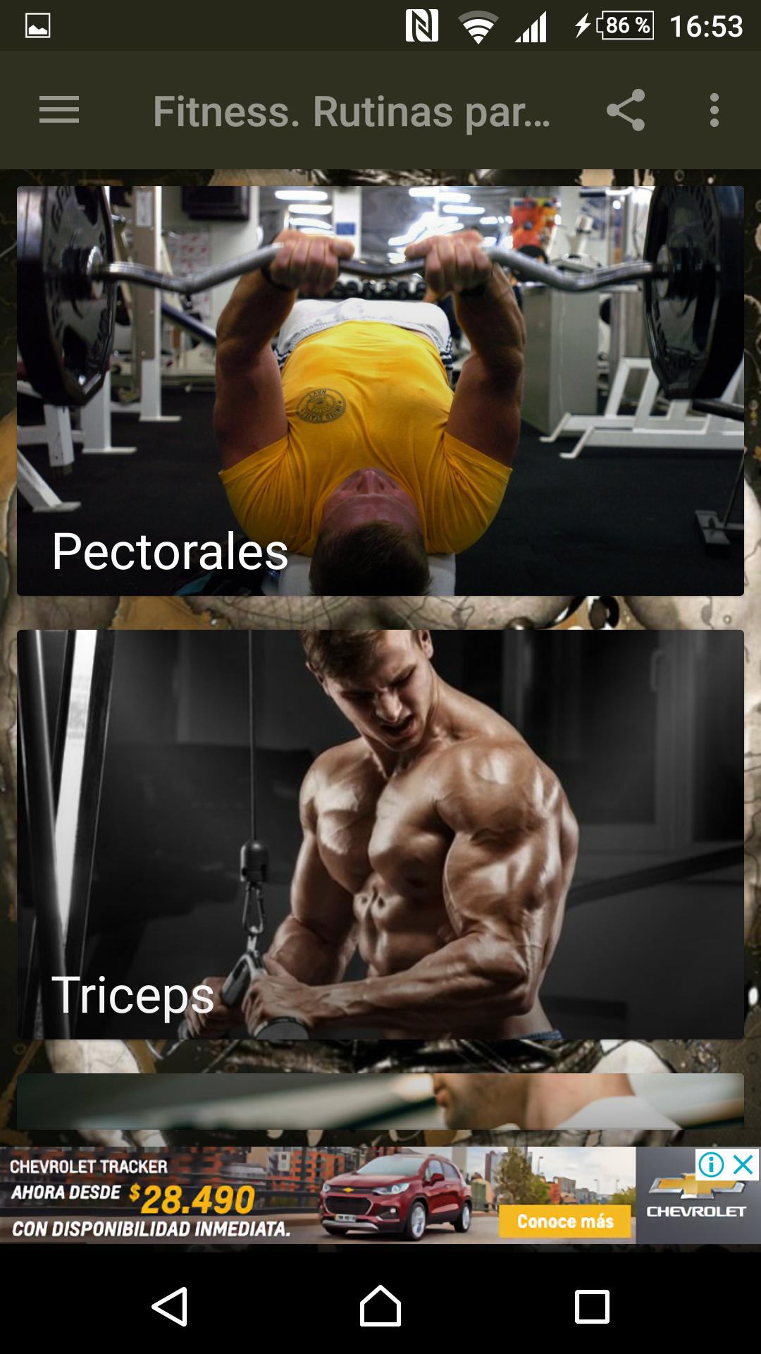 Fitness. Rutinas para el Gym